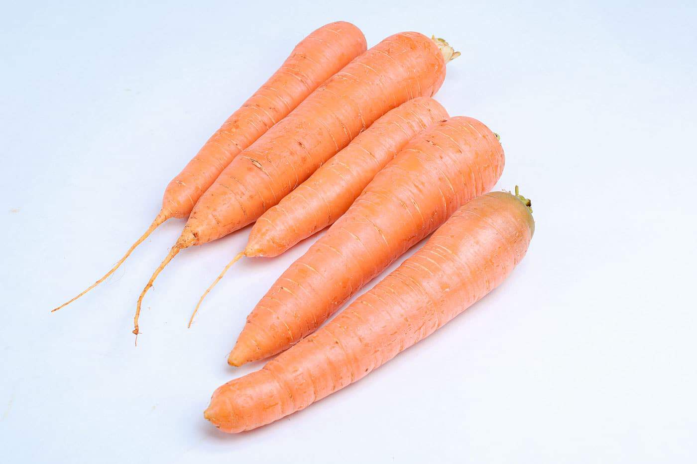 Carrot