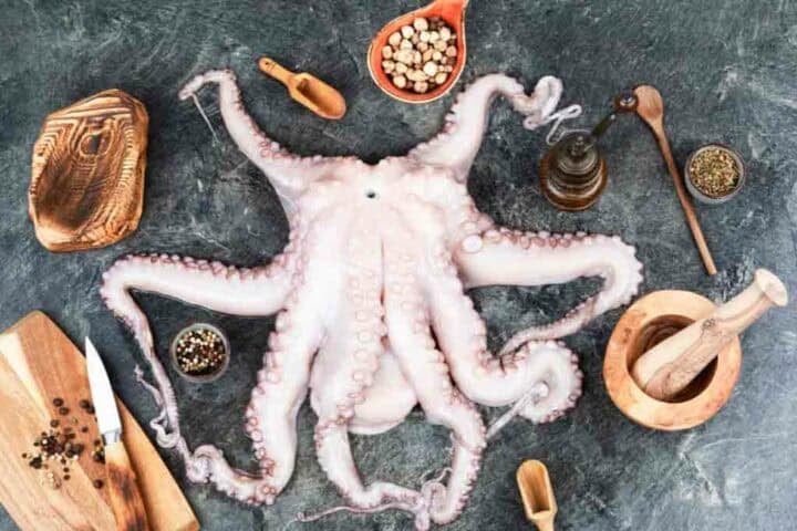 Fresh octopus