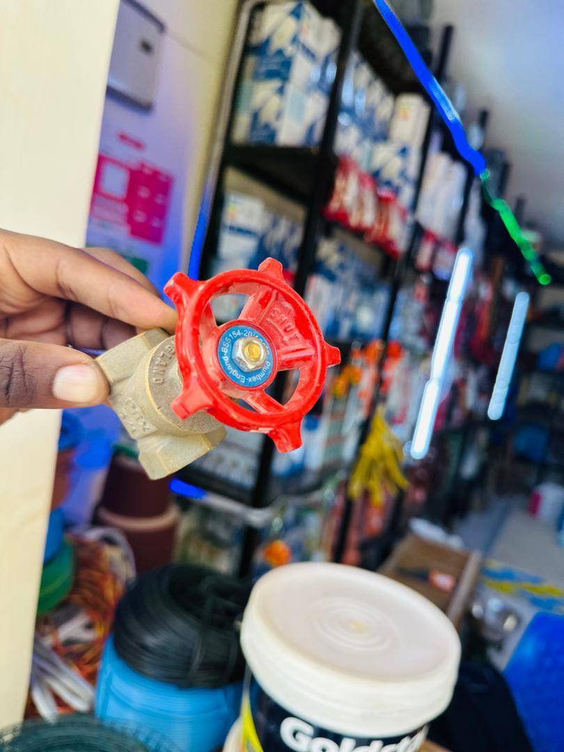 Brass Gate Valve